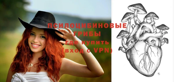 ПСИЛОЦИБИНОВЫЕ ГРИБЫ Зеленодольск