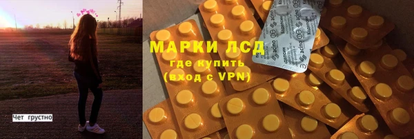 ПСИЛОЦИБИНОВЫЕ ГРИБЫ Зеленодольск