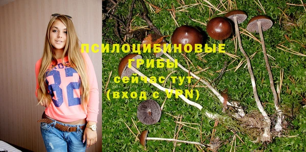 ПСИЛОЦИБИНОВЫЕ ГРИБЫ Зеленодольск